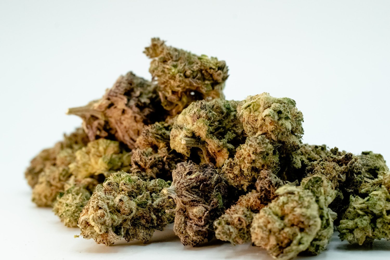 How to Buy Biscotti Pancakes Strain in 2023