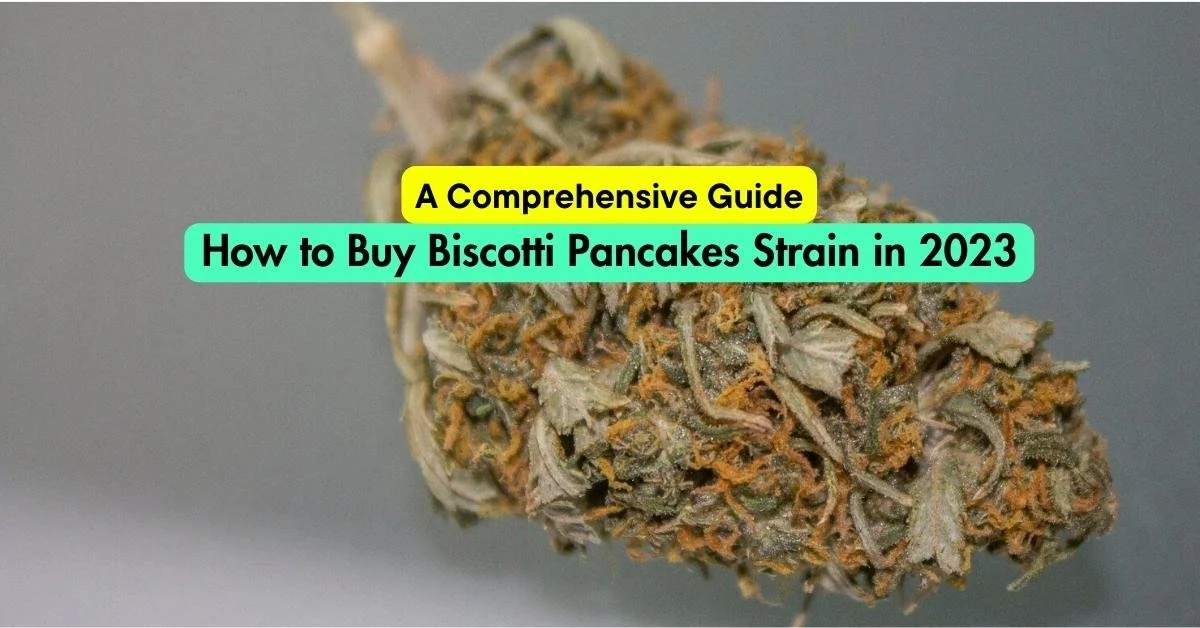 How to Buy Biscotti Pancakes Strain in 2023