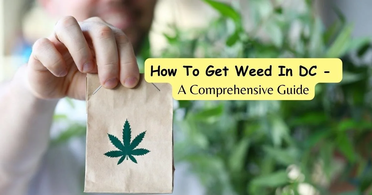 How To Get Weed In DC - A Comprehensive Guide