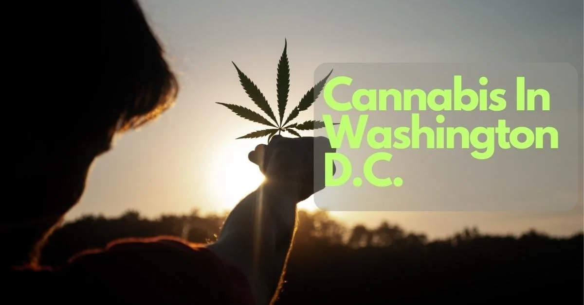 Cannabis in Washington, D.C