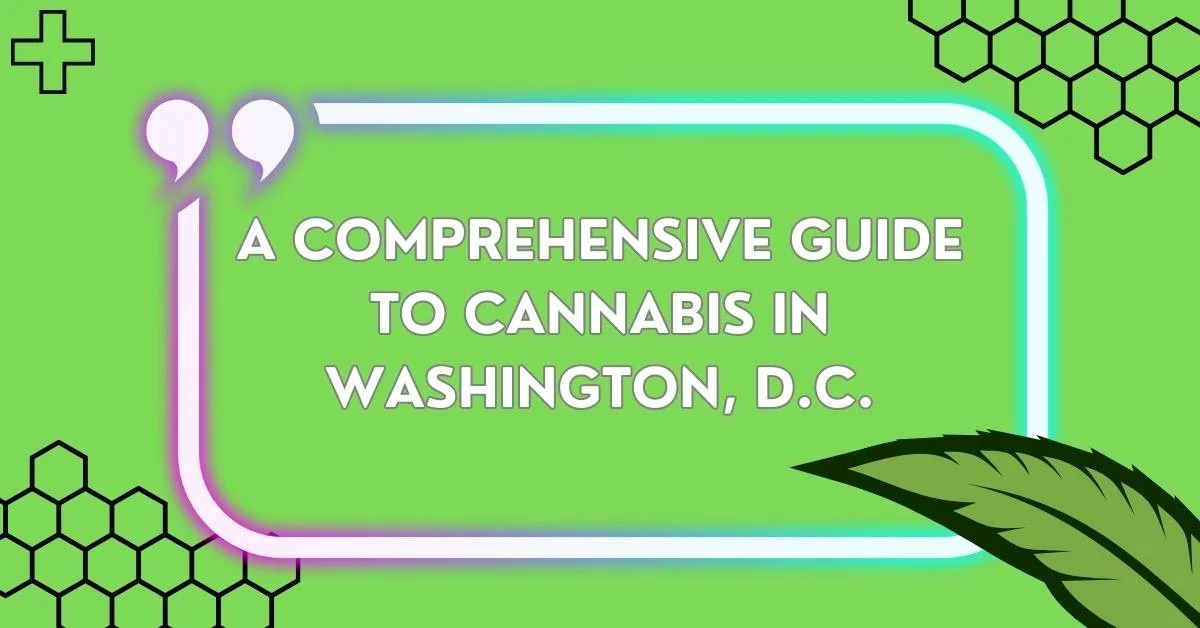 A Comprehensive Guide to Cannabis in Washington, D.C.
