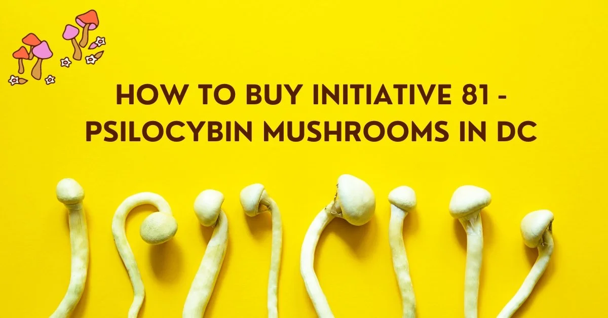 How to Buy Initiative 81 - psilocybin mushrooms in DC (Updated)
