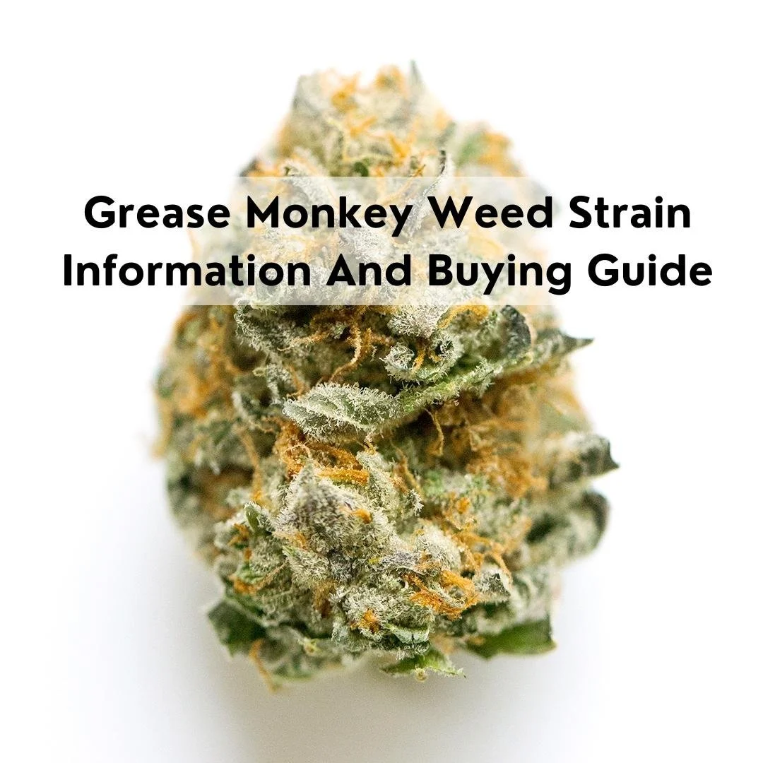 Grease Monkey Weed Strain  Buying Guide