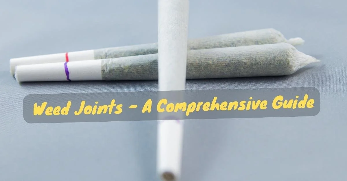 Weed Joints - A Comprehensive Guide