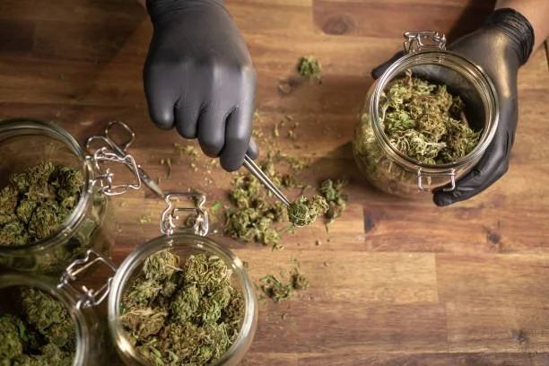 How to Store and Handle Cannabis Safely: A Guide for DC Enthusiasts