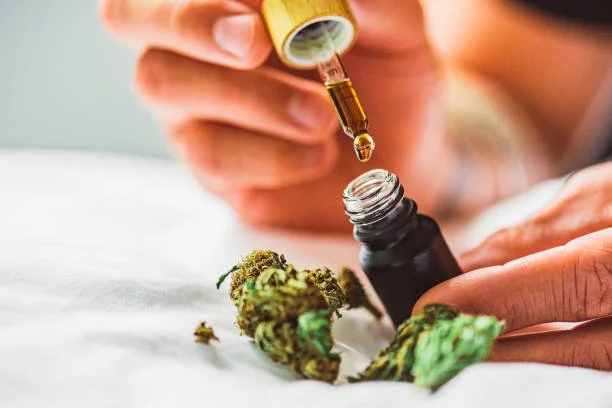 Comparing Different Cannabis Products: Flower vs. Edibles in DC
