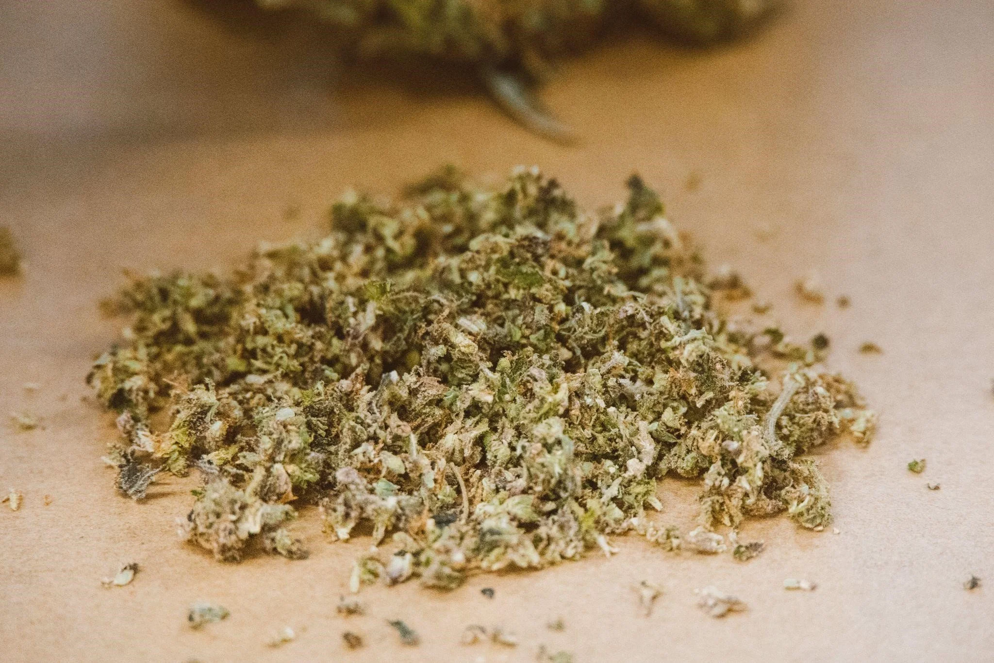 Why Is It Necessary To Pack Slurricane Strains For Your Next Journey?