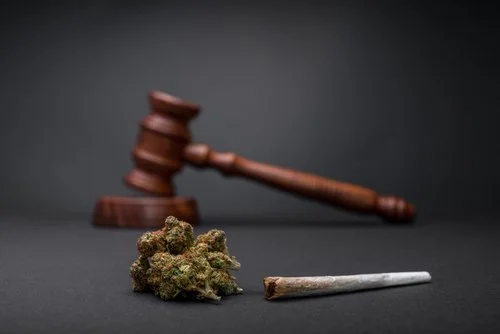 Enhance Your Influence in the Cannabis Sector: Engage with NCIA's Member-Driven Committees
