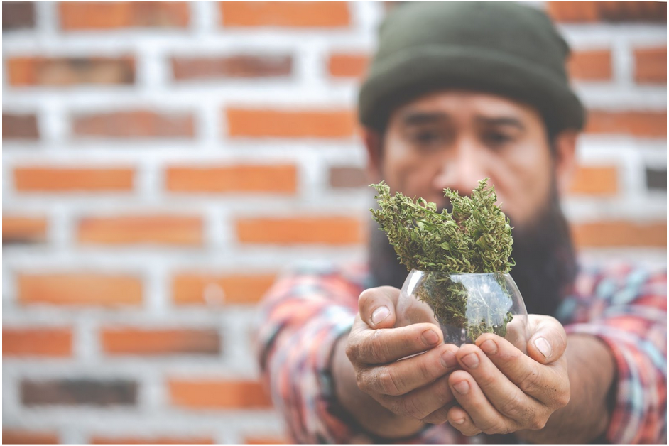 What First-Time Buyers Should Know Before Choosing a CBD Product