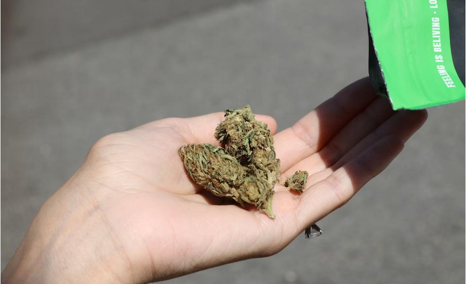 The 10 Best Cannabis Shops in DC and New Jersey