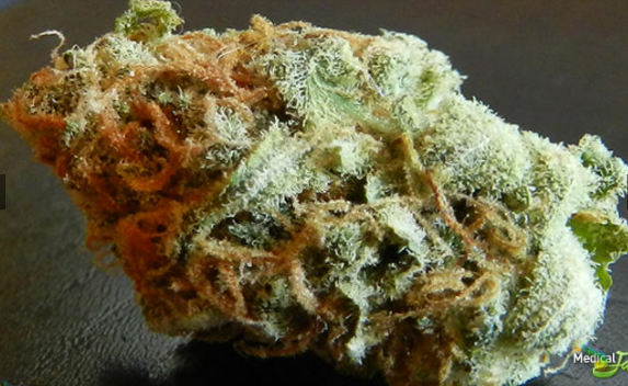 weed delivery md weed delivery va edibles md edibles va weed store dc,  dispenseries in dc, washington dc weed, washington dc weed dispensary prices, recreational dispensary in washington dc, marijuana dispensary dc, buy weed dc