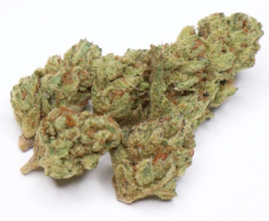 Biscotti STRAIN