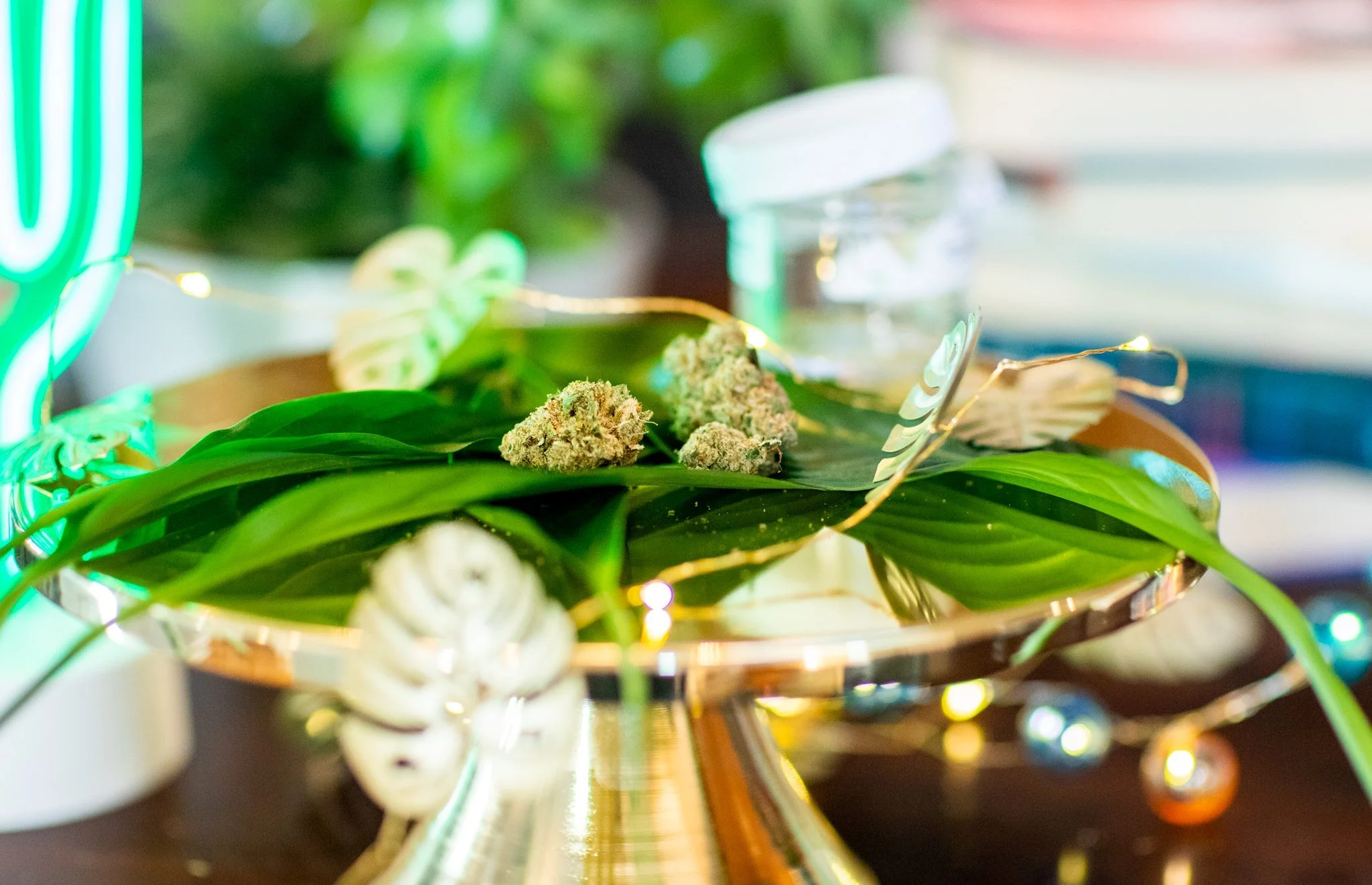 Weed DC Best Weed Delivery and Dispensaries in Washington DC LuckyChuckie