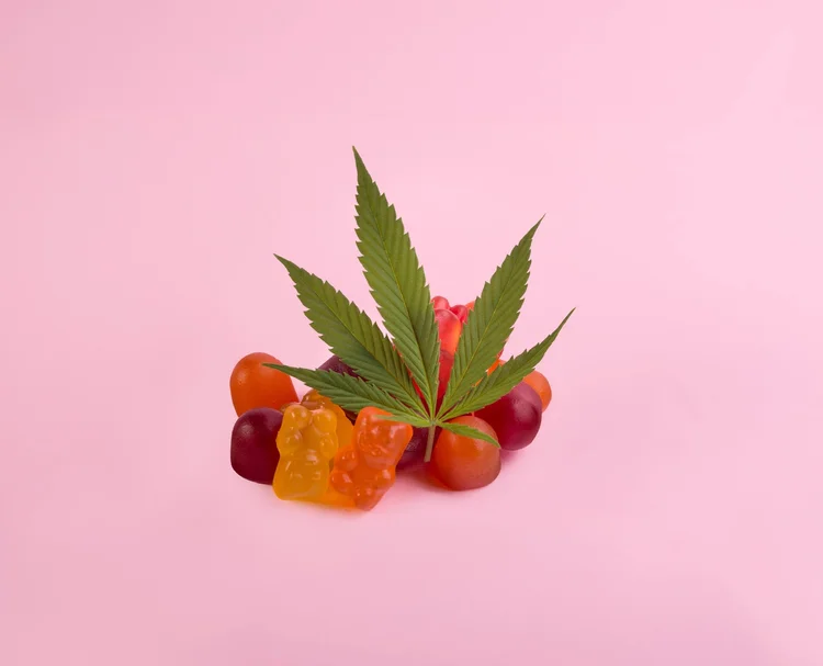 London Jelly Strain Effects, Benefits, and More