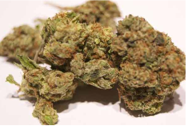 Agent Orange By Lucky Chuckie Lucky Chuckie 24 7 Cannabis Delivery Pre Rolls Exotic Marijuana Edibles Brownies Weed Delivery Dc