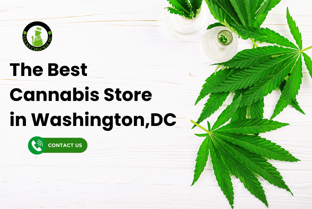 The Best Cannabis Store in Washington,DC