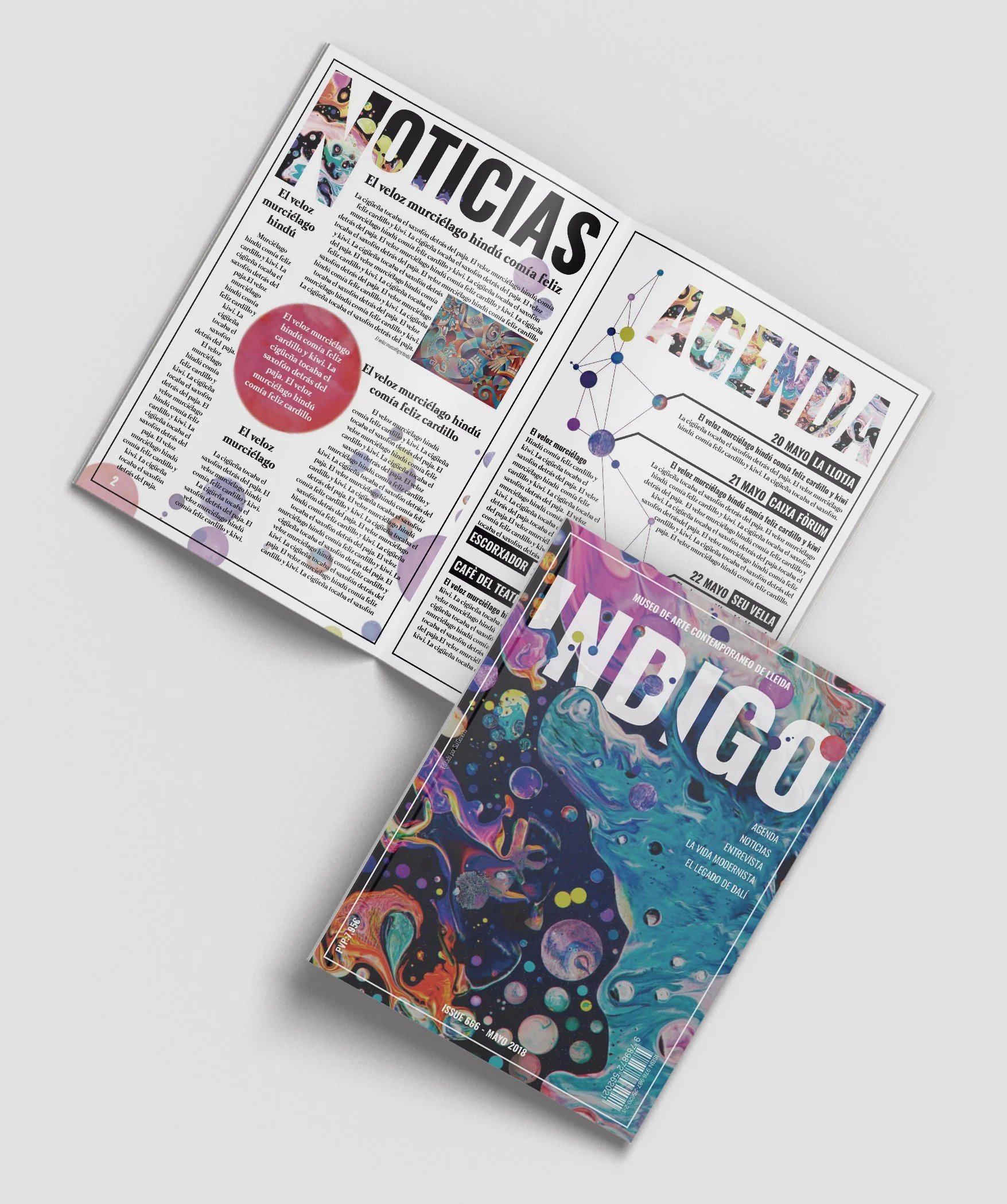 Maquetació revista INDIGO
