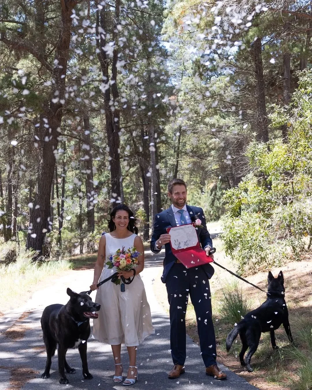 BRI ❤️ RYAN
.
When your dogs insist on signing the marriage certificate too&hellip;&nbsp;👀🐶
.
Dream team 🔥
Celebrant: The amazing @cbrcelebrant ✍️
Photographer: The talented @plum_photography 📸
.
#idodrivethruweddings #cheapelopements #elopeaustr