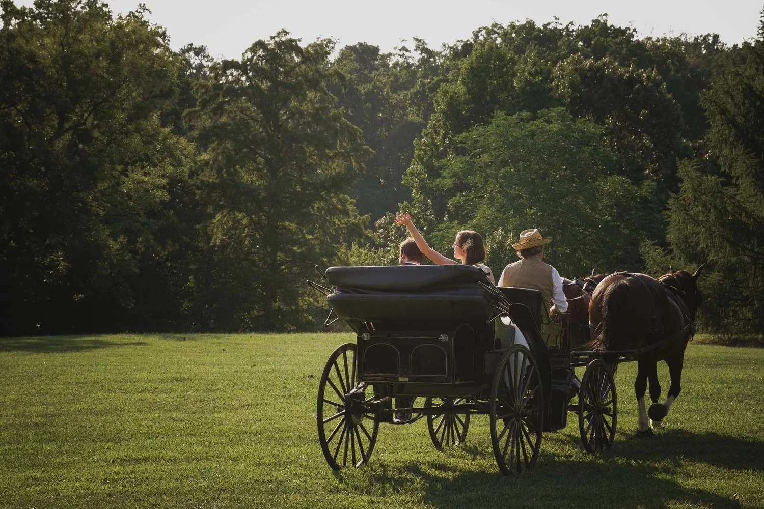 Shenandoah National Park elopement ceremony in Virginia with I Do Drive Thru USA from $500