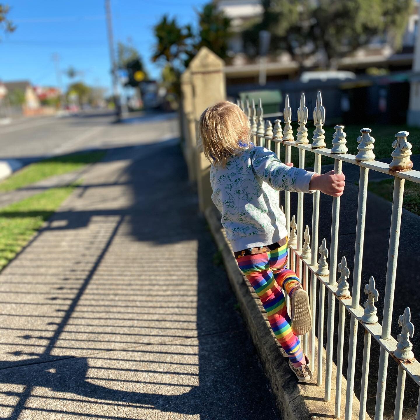 #lockdown walks are very slow #toddlerlife #kidsloverainbowcolours