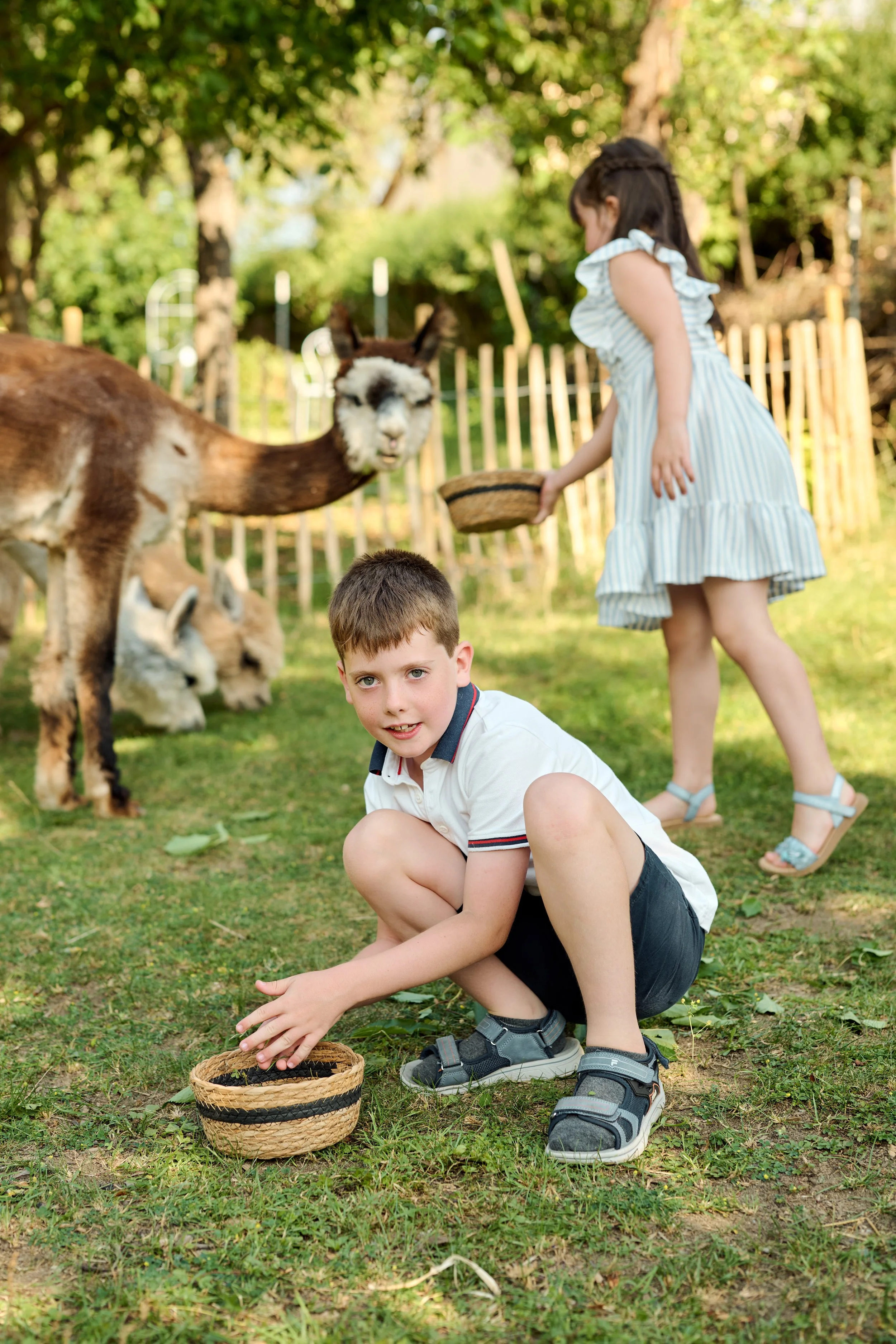 Alpaka_Testshooting-0052.jpg