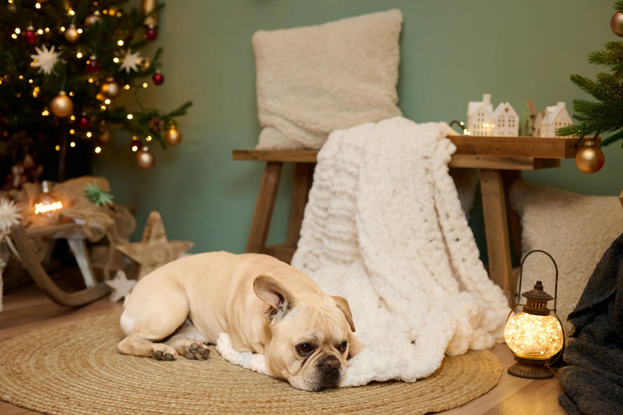Frank_Weihnachten_2026-0010.jpg