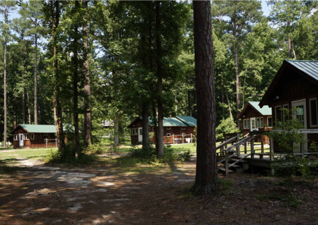 About a Prickly Little Black Girl