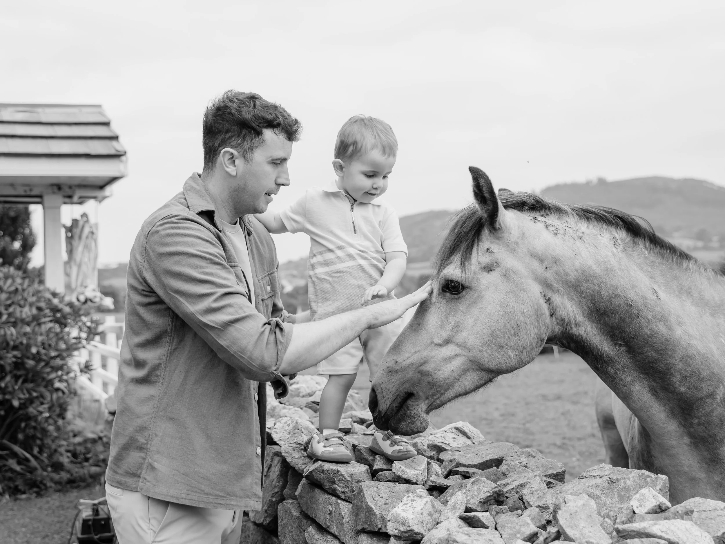 Family Lifestyle Photography Dundalk.jpg