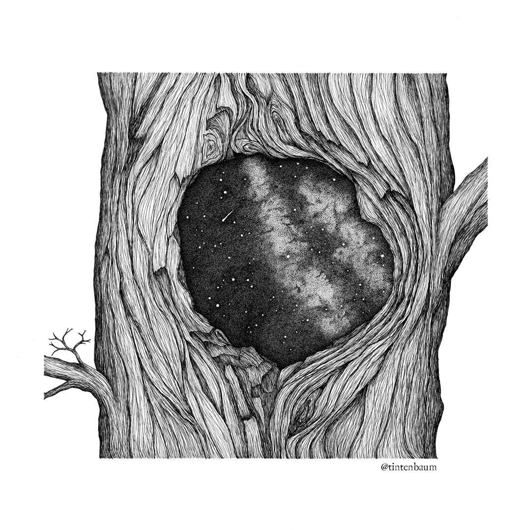 I'll never get tired of drawing trees, bark and branches. And this old one from 2018 is one of my favourites, with the little Milky Way inside ✨ 
⠀⠀⠀⠀⠀⠀⠀⠀
#micronpen #inkdrawings #fineliner #inktober #inking #inkartwork #inkartist #linework #linework