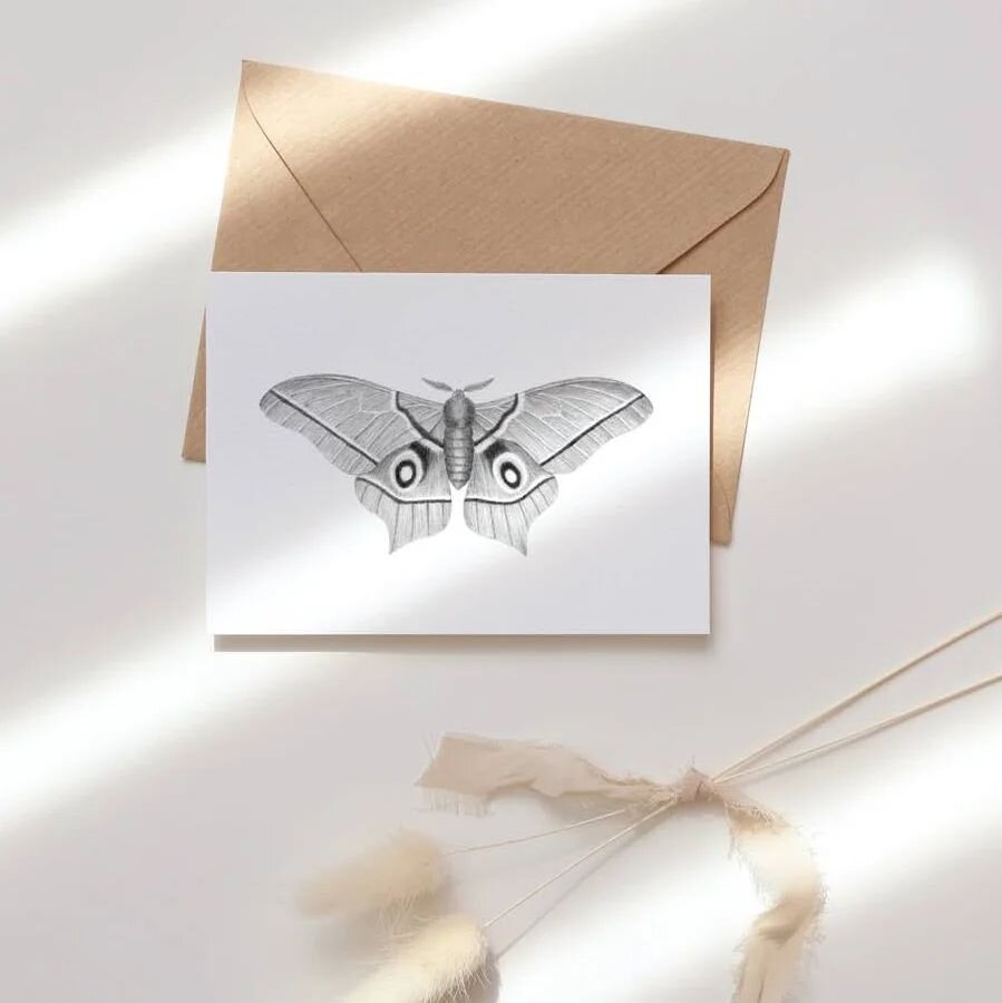 ↠ New sticker &amp; card design! My little African Silkmoth graphite drawing will be available both as a sticker and a gift card during @brusselsmakersmarket on the 14th of May. These new cards are printed locally on beautiful 300g paper and come wit