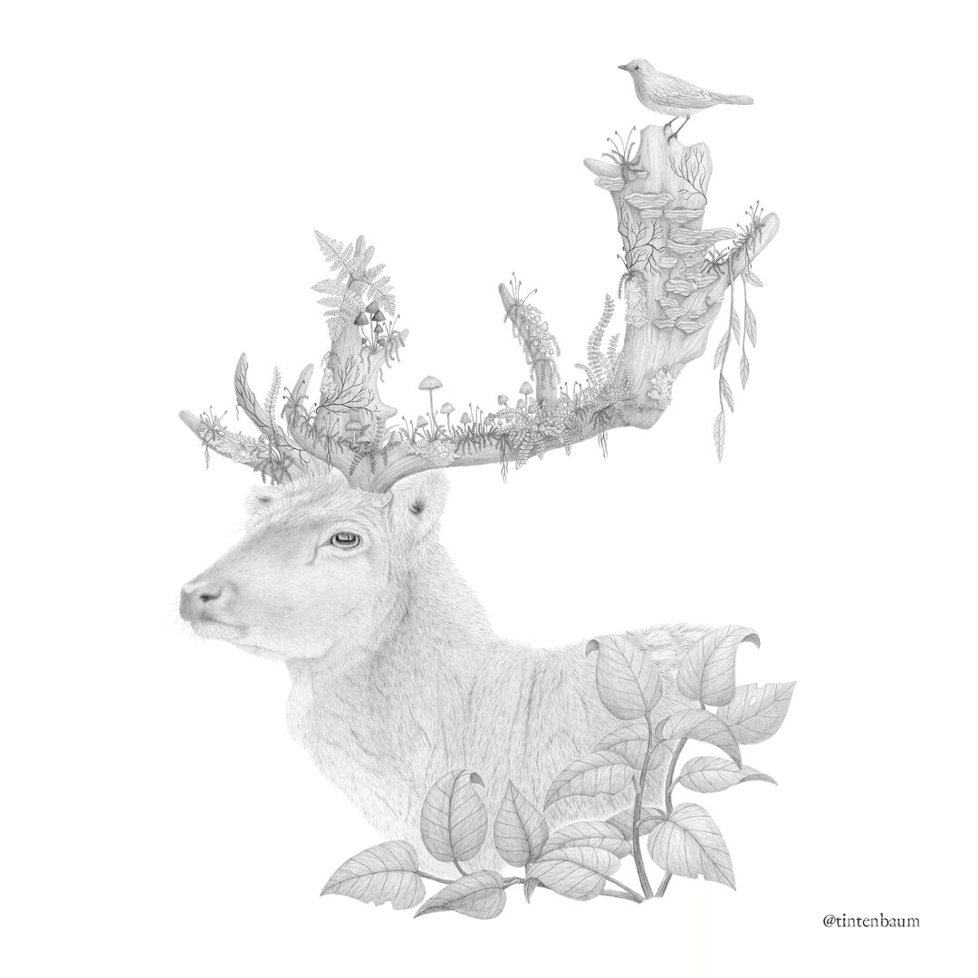 Forest Spirit - 29,7 x 420cm, graphite pencils on paper. Couldn't wait to get this large drawing scanned to really zoom in on the details. Swipe to see the close-ups!
⠀⠀⠀⠀⠀⠀⠀⠀
I will bring a limited number of large A3 fine-art velvet paper prints of 
