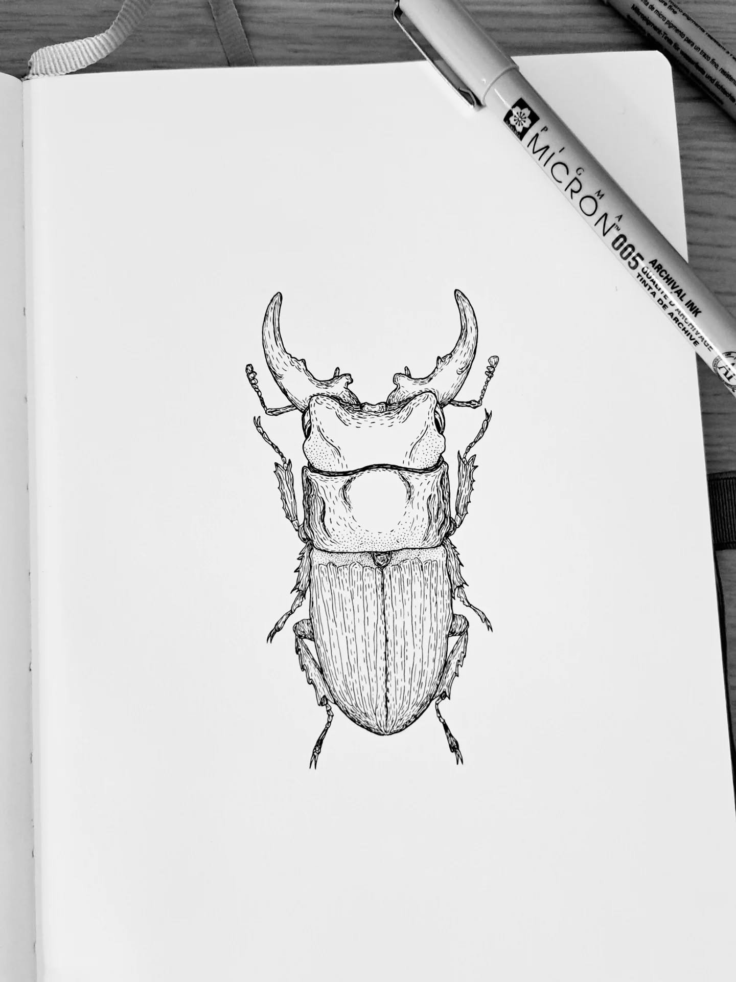 A spontaneous little beetle in my sketchbook. I'm not sure if it's done or if it's missing something in that middle section 🤔
#beetledrawing #sketchbookdrawings✏️