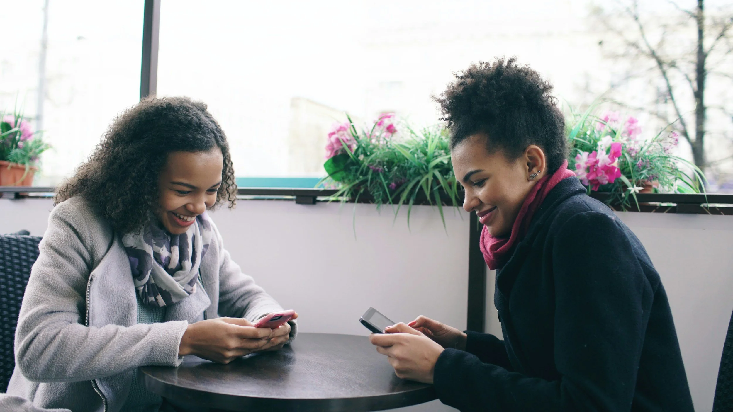 Two women sitting at a table, smiling and looking at their phones, with pink flowers in pots behind them by a window.