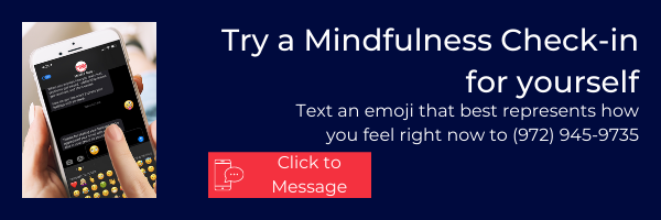 Try a Mindfulness Check-in for yourself.png
