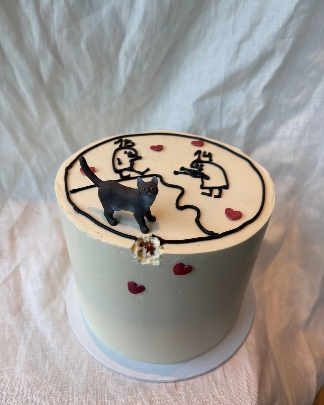 A little funny number, for a girl turning 15, kicking away 14. And with her favourite, British Shorthair cat taking a little nibble of her cake!