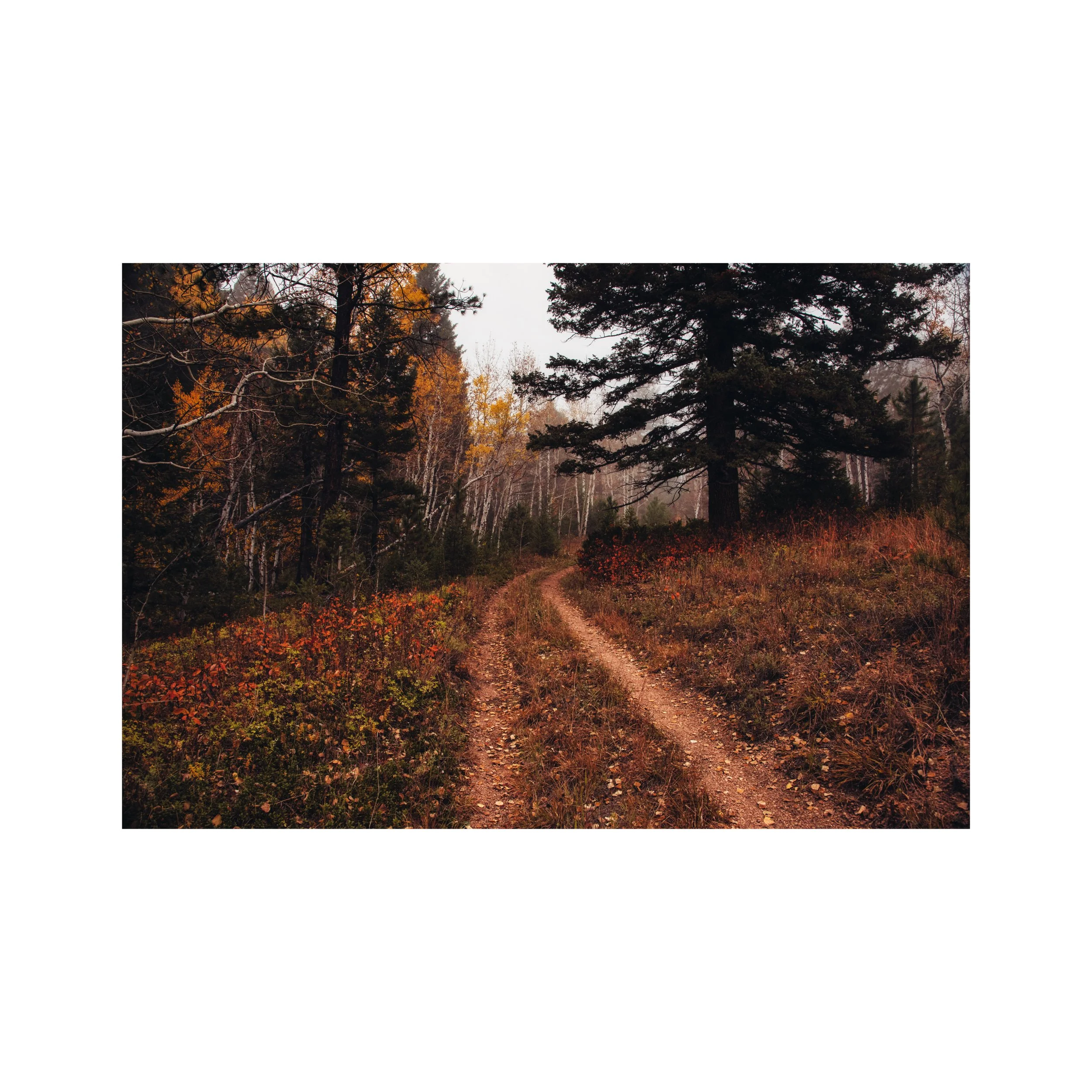 Echoes of October (Limited Edition)
