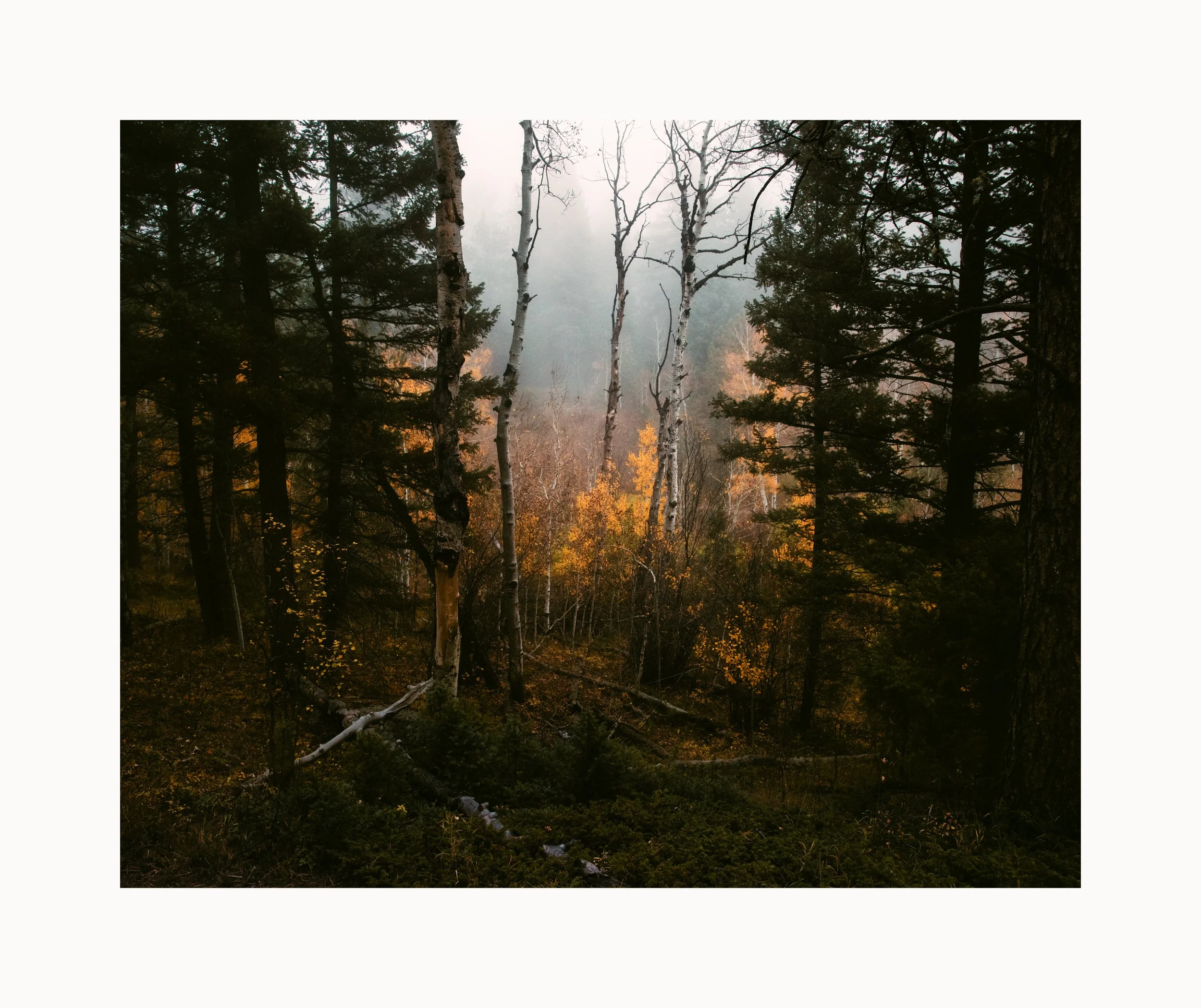 AaaaaaaaYB_5780-Edit-Edit-Edit copy.jpg