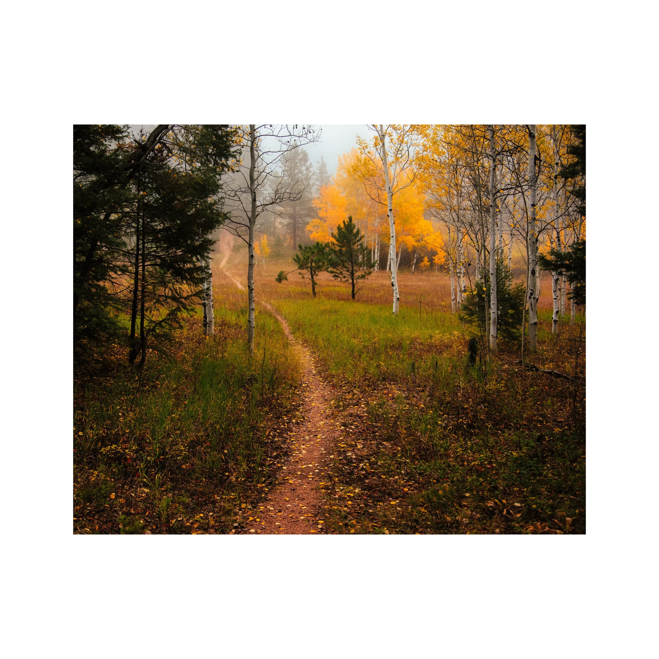Whitagram-Image 3.JPG
