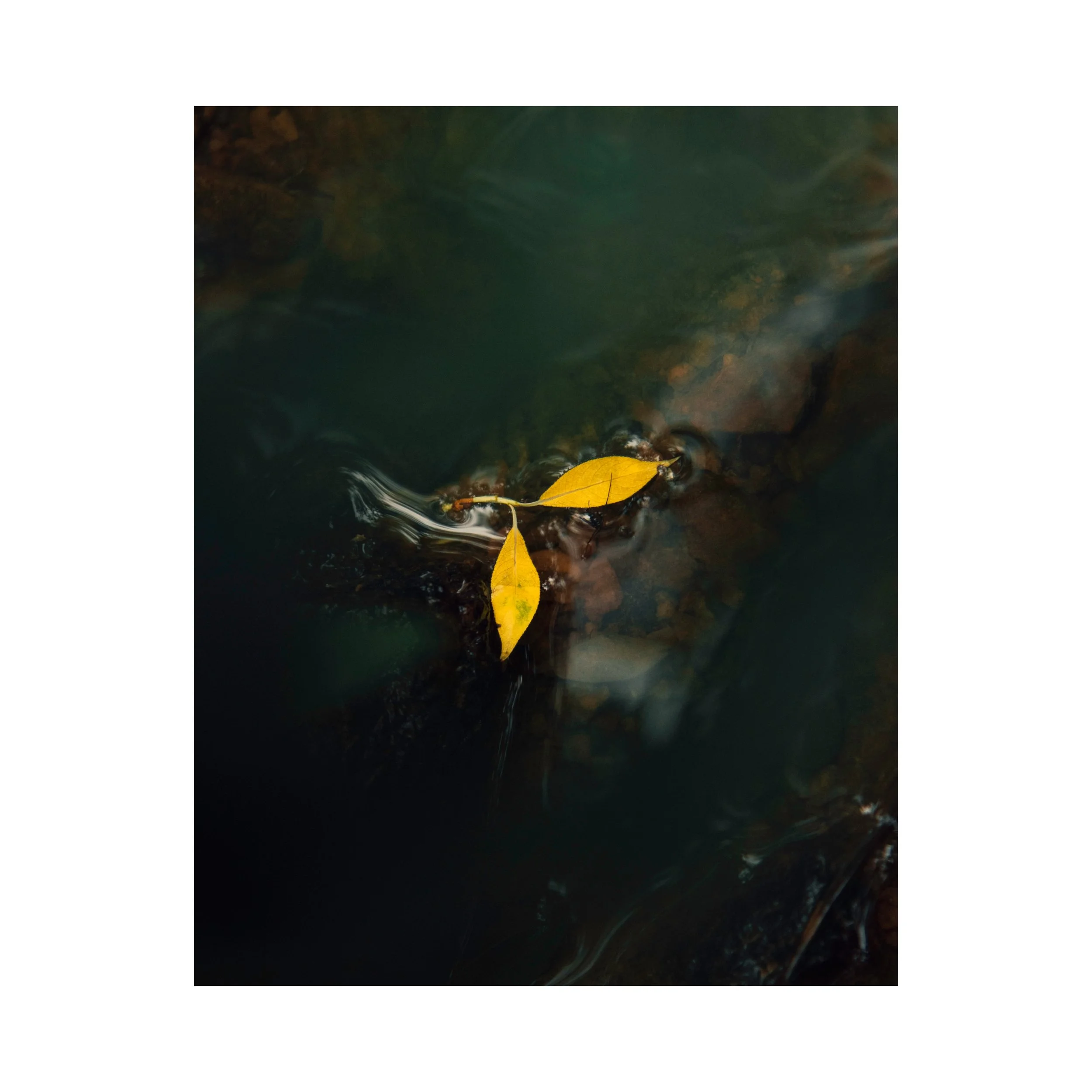 Whitagram-Image.JPG