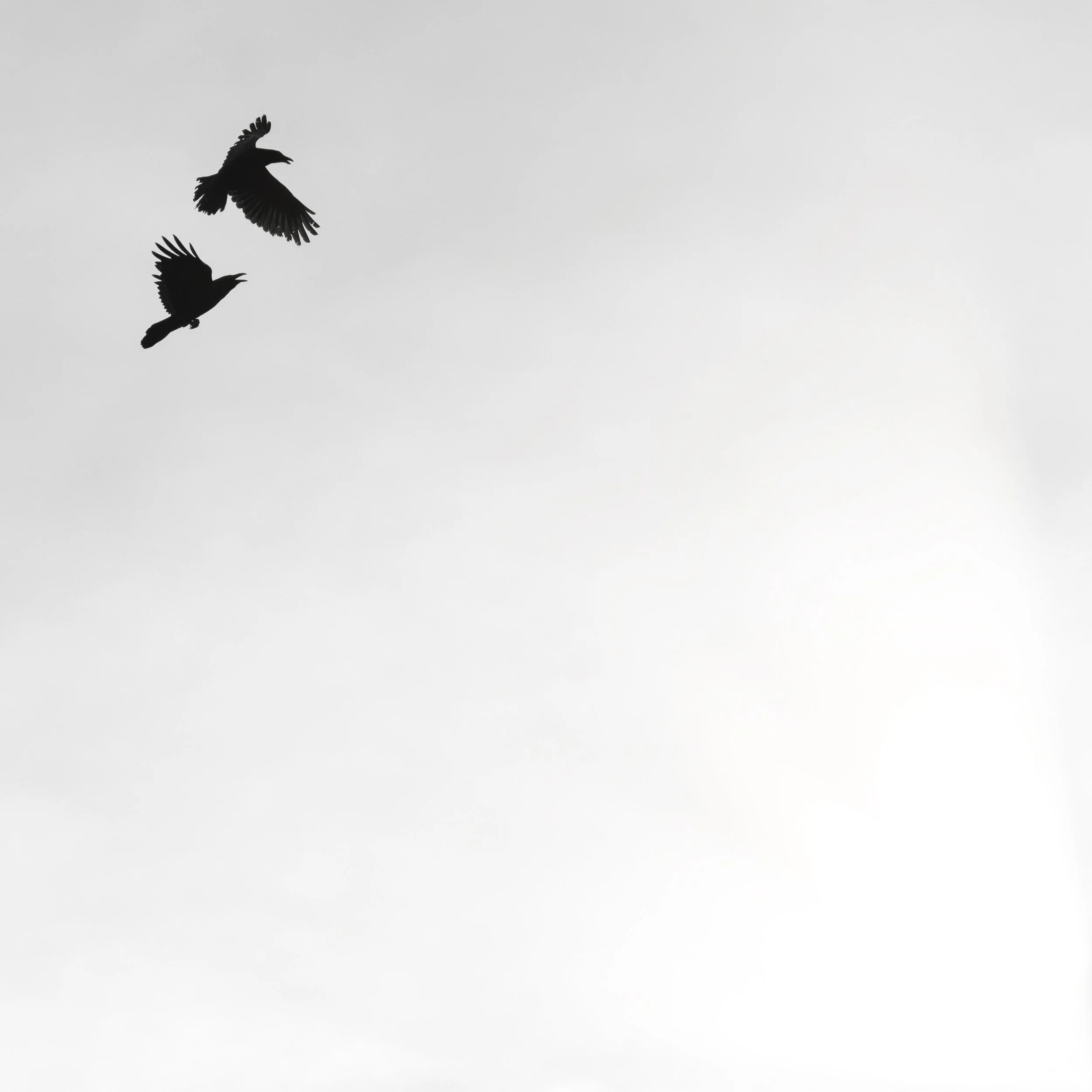 1-Edit-2-Edit.jpg