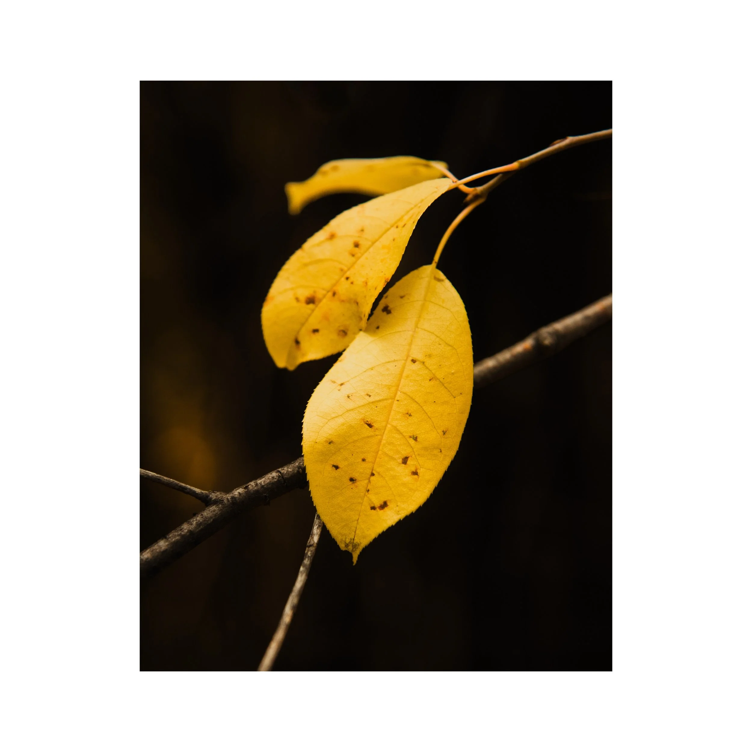 Whitagram-Image 4.JPG