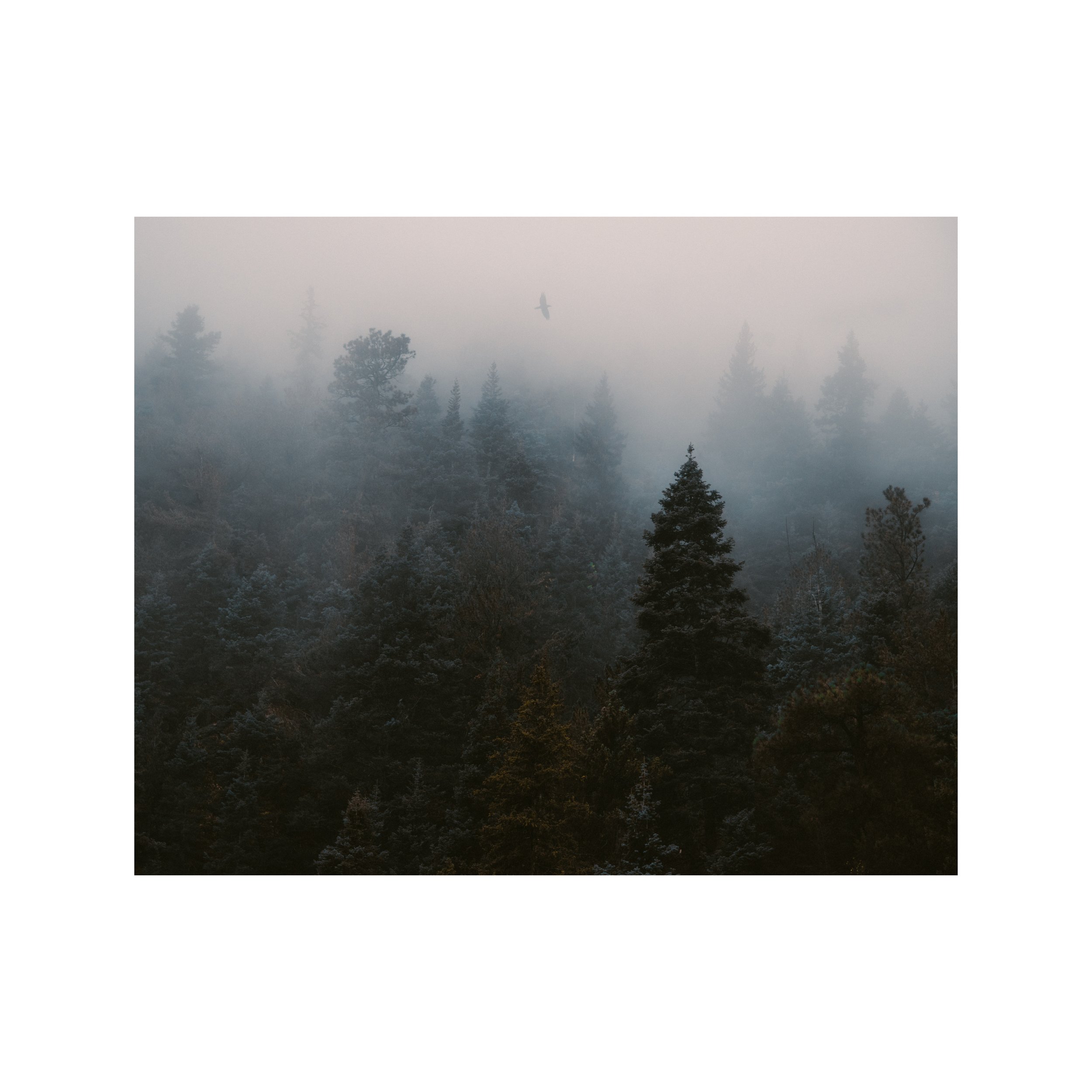 Whitagram-Image.JPG