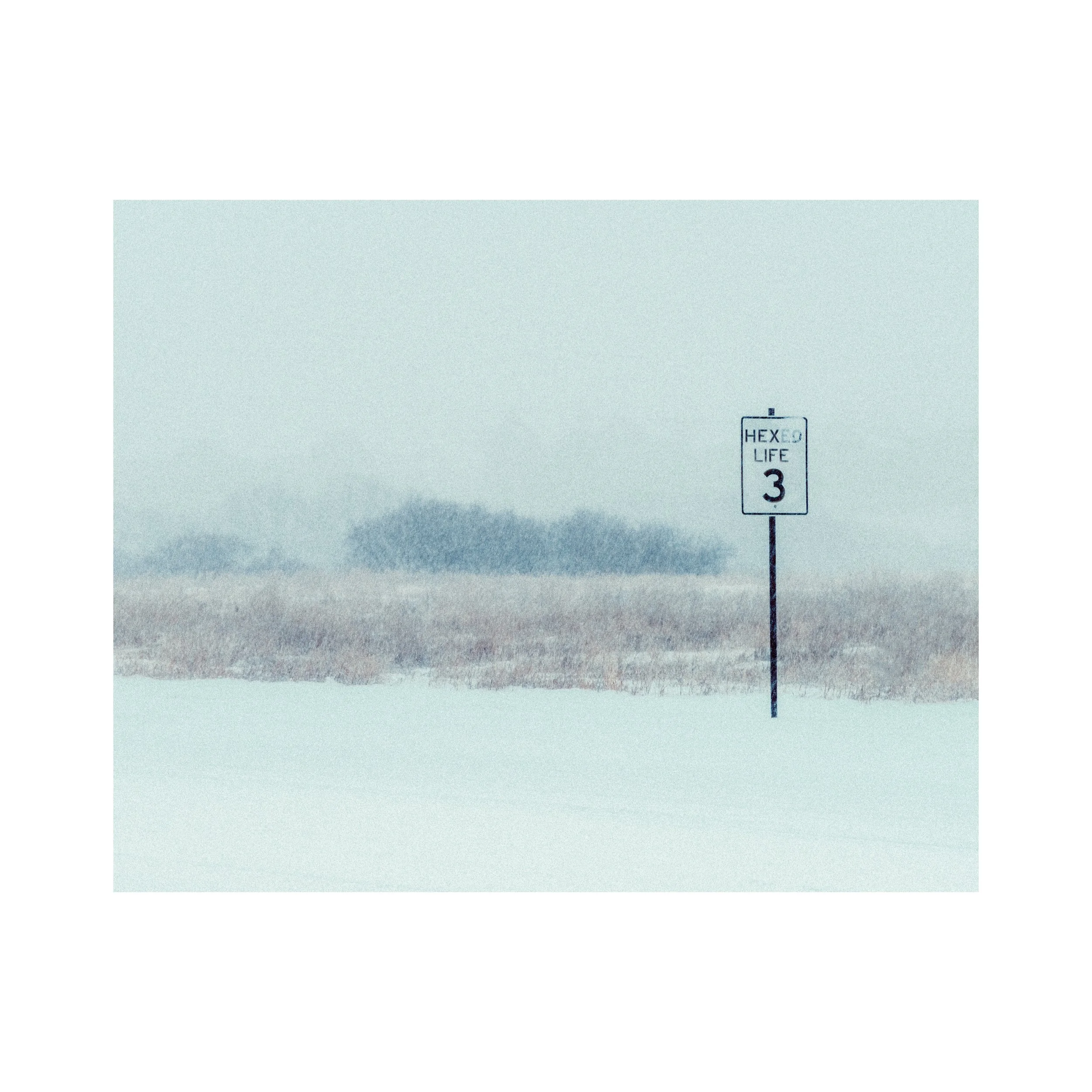 Whitagram-Image 5.JPG