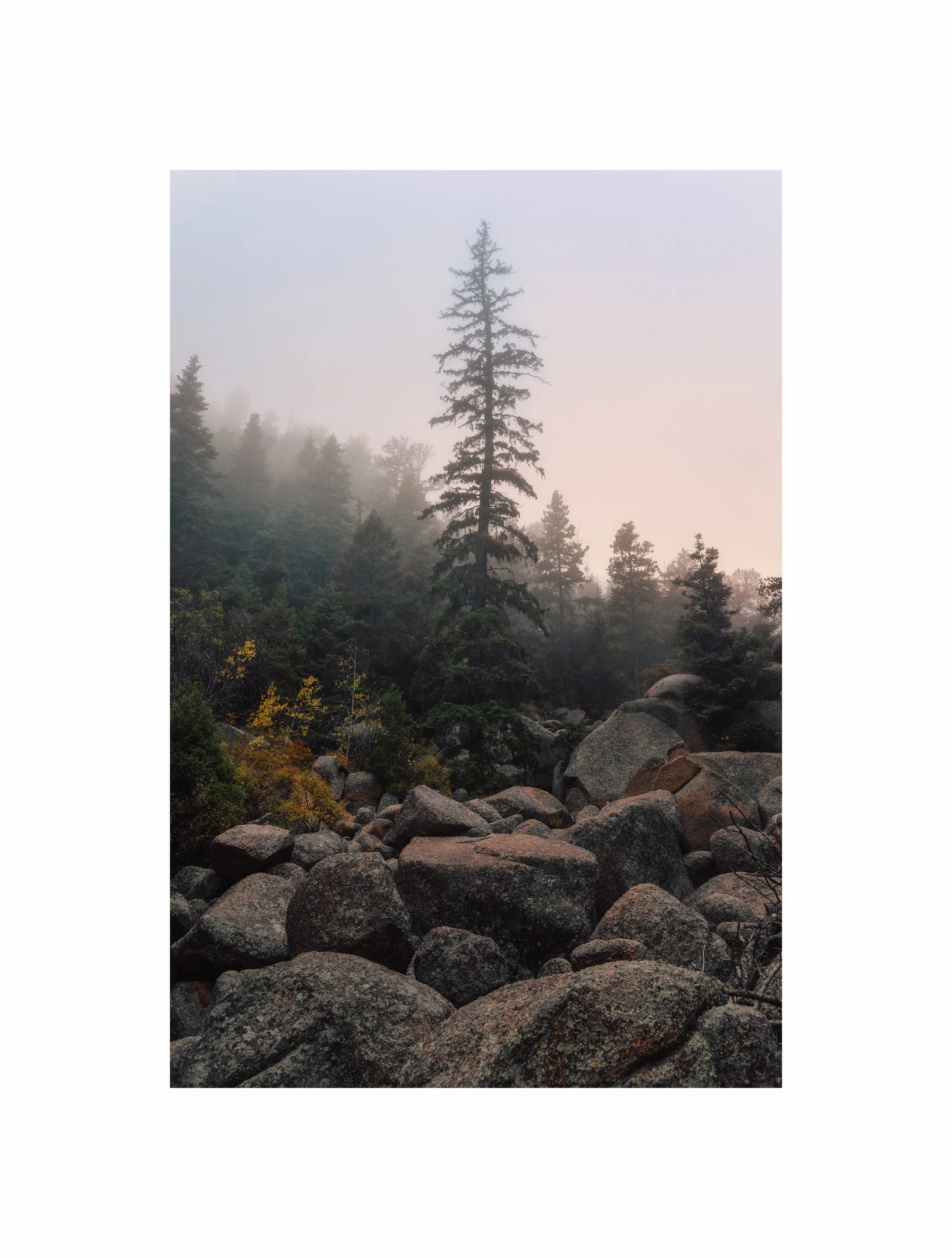 AYB_5890-Edit-Edit-Edit-Edit copy.jpg