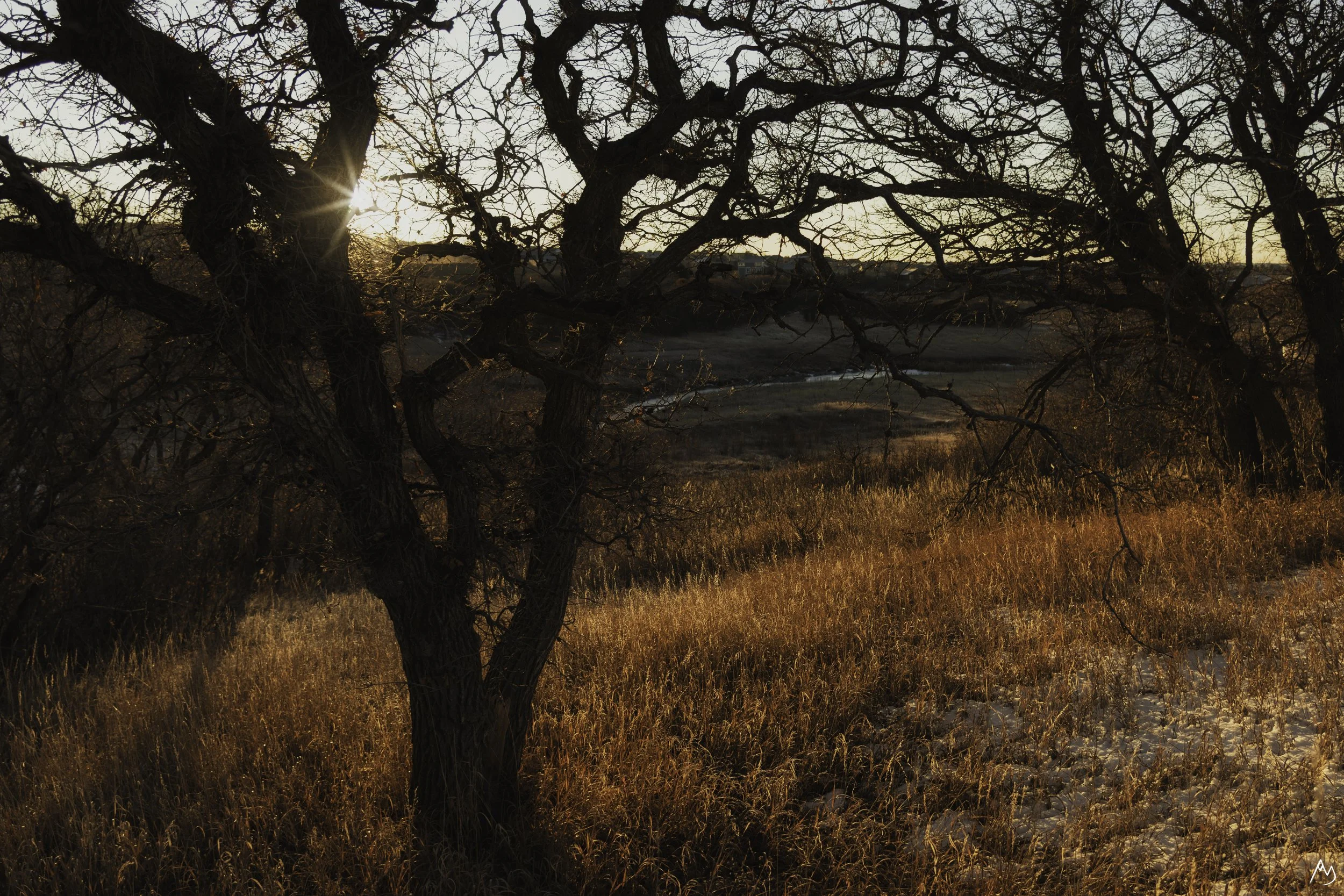 ABY_2230-Edit-Edit-Edit copy.jpg