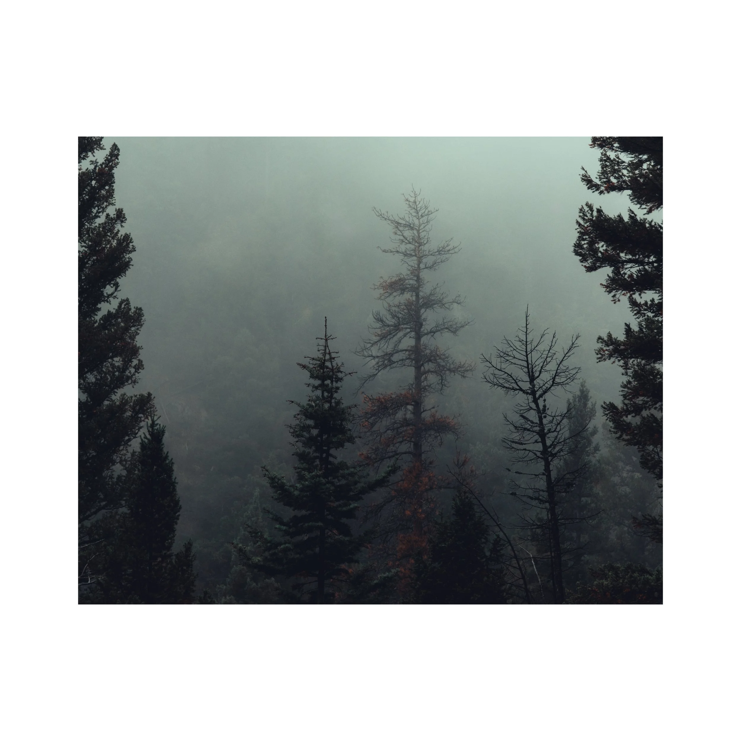 Whitagram-Image copy.JPG