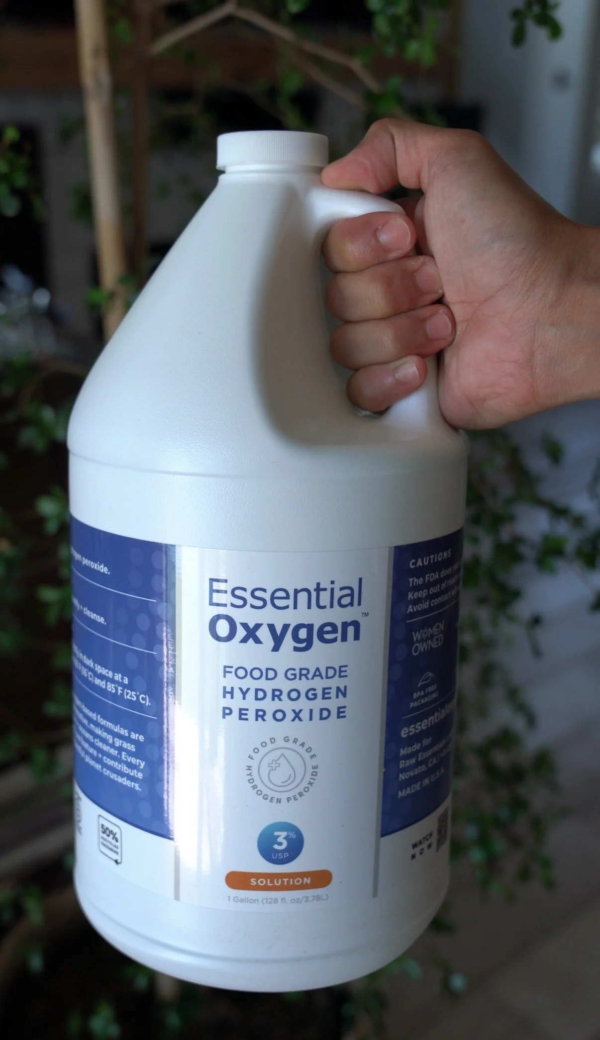 Why I Started Using Hydrogen Peroxide In My Plant Care Routine
