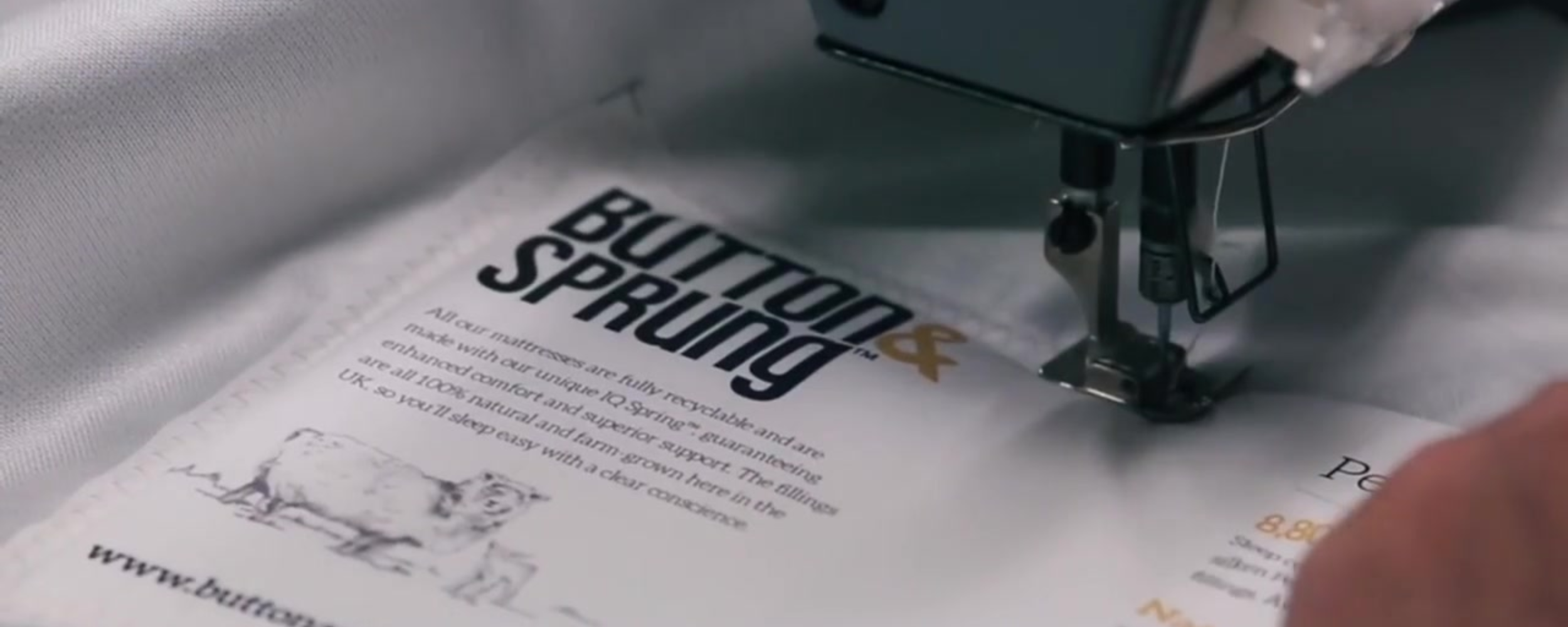 Button & Sprung