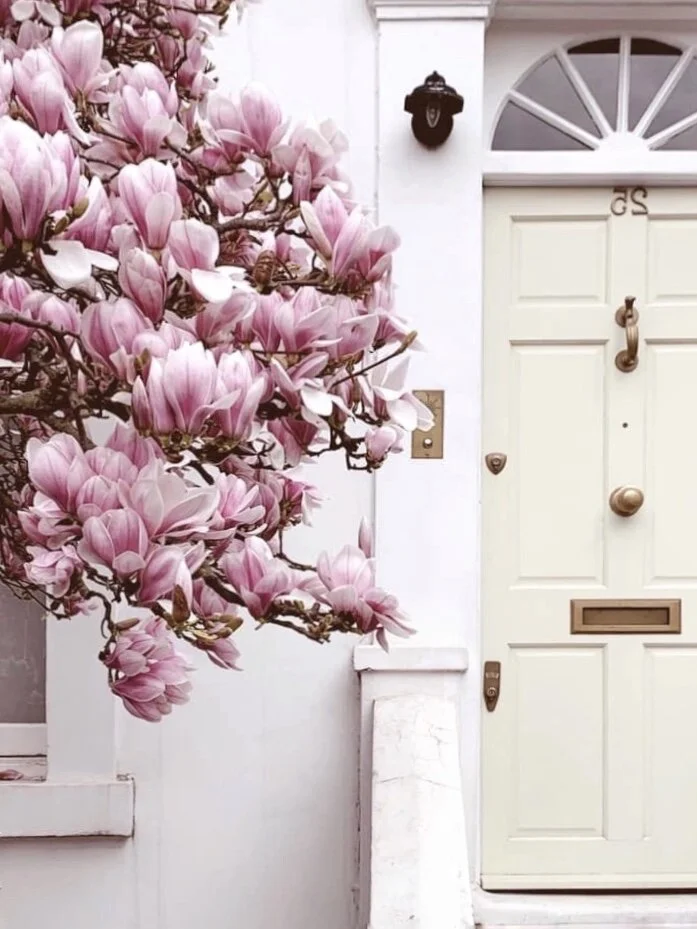 The time it was Magnolia Madness…