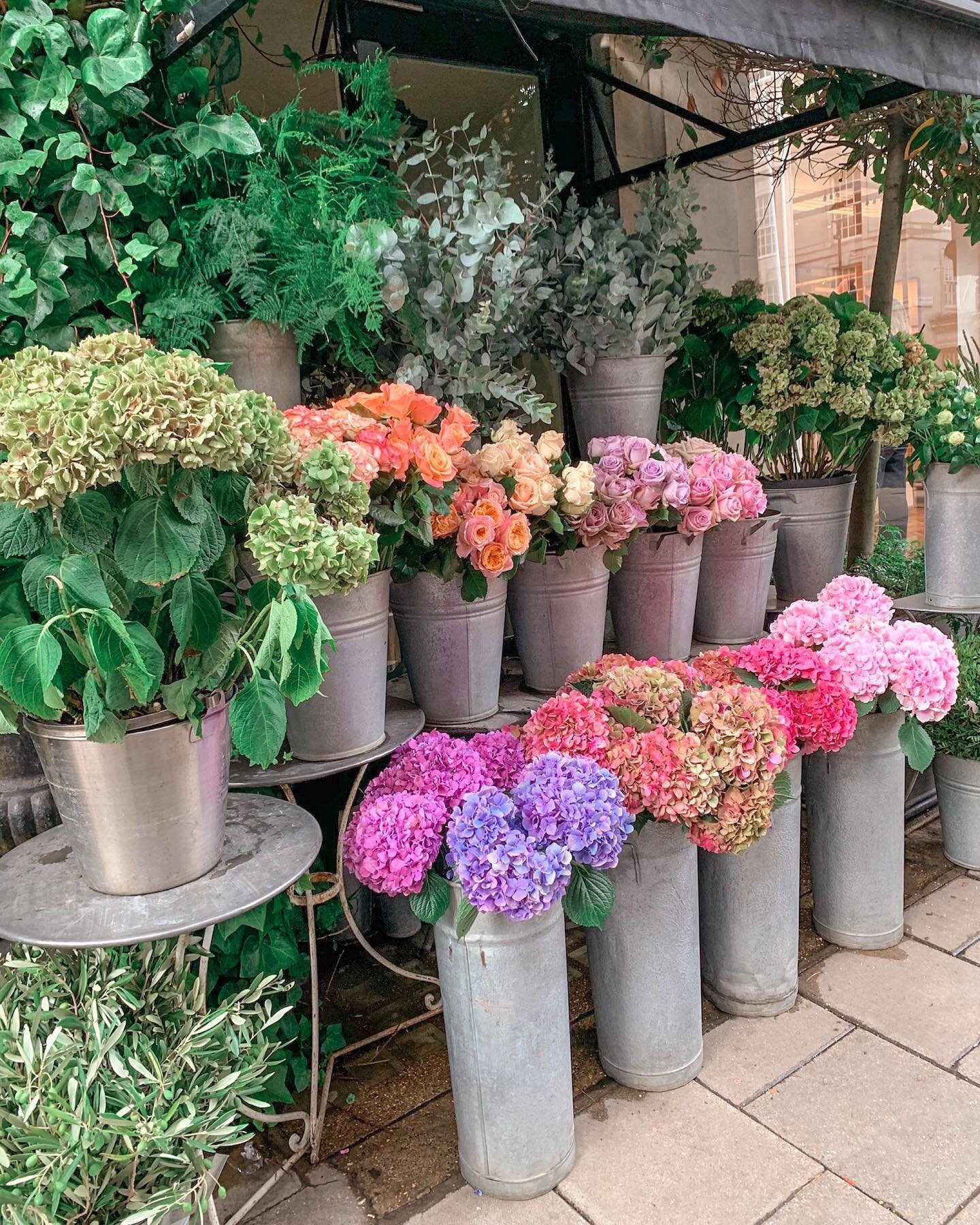 We are well and truly in the middle of hydrangea season. The front gardens in the neighbourhood are bursting with a rainbow of colour and the flower shops are offering up their finest. 
.
Wish you were here,
Xoxo